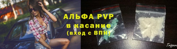 сатива Абаза
