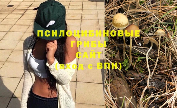 дживик Алзамай