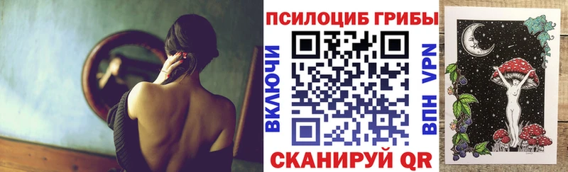 где можно купить   Тула  Псилоцибиновые грибы мицелий 